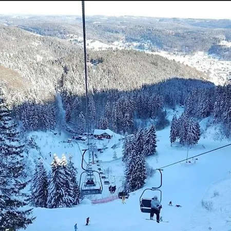 Hundeparadies Waldblick Lauenstein