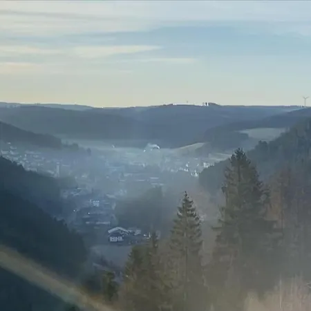 Hundeparadies Waldblick Lauenstein 度假居 Ludwigsstadt