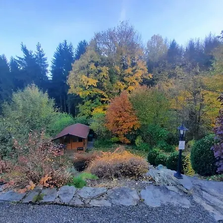 Hundeparadies Waldblick Lauenstein *