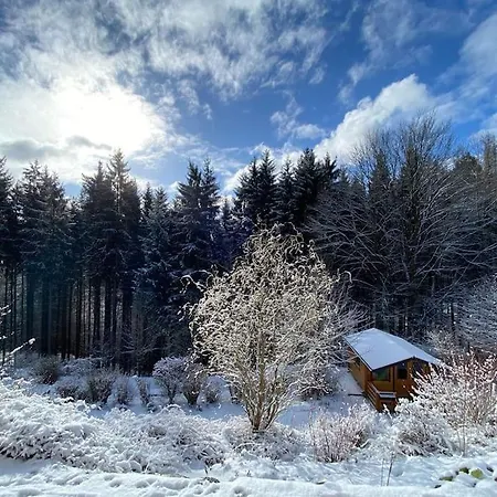 度假居 Hundeparadies Waldblick Lauenstein *