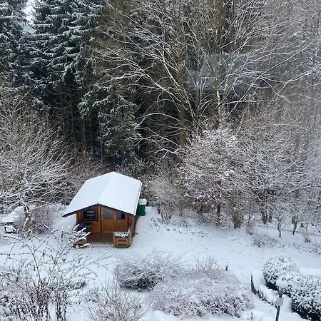 Hundeparadies Waldblick Lauenstein *